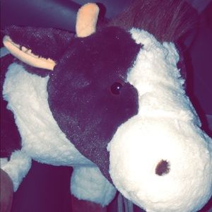 Meet your Posher, Kaylin